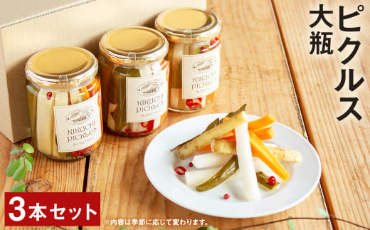 ピクルス 大瓶 3本 セット 野菜 瓶詰め メロンドーム 989511 - 熊本県菊池市
