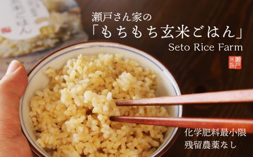 【12-318】瀬戸さん家の「もちもち玄米ごはん」 美味しいごはんパック 553542 - 長野県辰野町