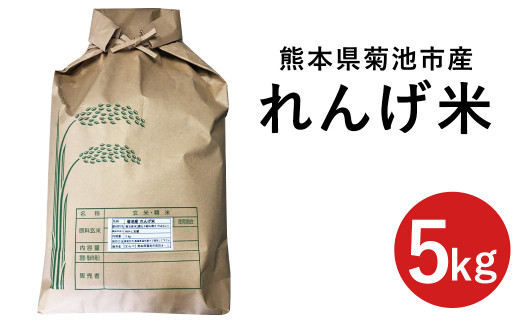 熊本県菊池市産の れんげ米 5kg お米 白米 精米 レンゲ米 米