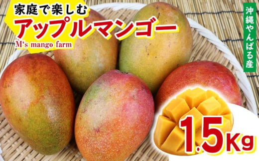 沖縄やんばる産 1 5kg 家庭で楽しむアップルマンゴー M S Mango Farm 沖縄県名護市 ふるさとチョイス ふるさと納税サイト