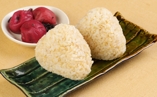 熊本県菊池産 ヒノヒカリ 5kg×2袋 計10kg 5分づき米 お米 分づき米