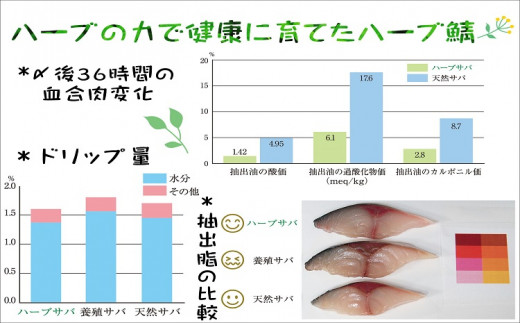 【B3-055】サバがこんなに美味しいなんて！長崎ハーブ鯖の「炙りしめ鯖」2枚 サバ ハーブ鯖 炙りしめ鯖 カット済み 刺身 絶品