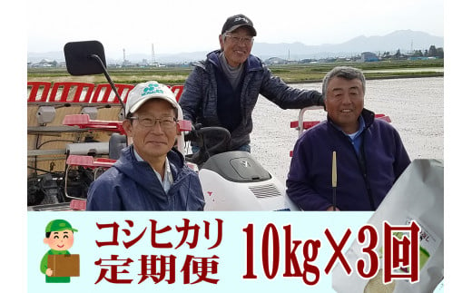 【令和7年産米予約受付中】おかずのいらないコシヒカリ「つばめ返し10kg」3か月定期便(月イチで計3回) FC081005