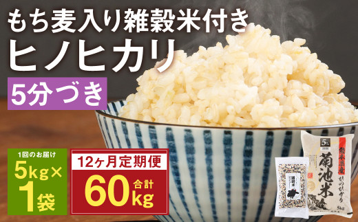 【定期便12ヵ月】熊本県菊池産 ヒノヒカリ 5分づき米 5kg もち麦入り雑穀米 200g 計62.4kg