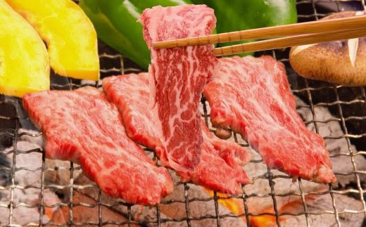 近年、健康志向の中で特に注目されている牛肉です。そんな熊本産のあか牛を使用した贅沢な焼肉です。