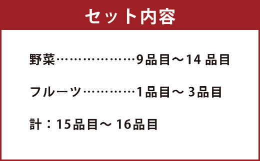 【定期便 偶数月コース】野菜のプロ40年が届ける 厳選野菜セット！ 野菜・フルーツ 15～16品目 詰め合わせ