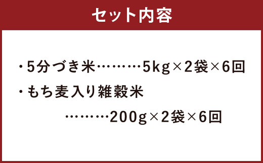 【定期便6ヵ月】熊本県菊池産 ヒノヒカリ 5分づき米 5kg×2袋 もち麦入り雑穀米 200g×2袋 計62.4kg
