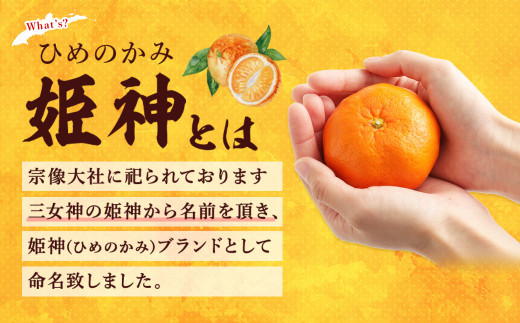 旬のミカンをお届け！JAむなかた柑橘ブランド「姫の神」5kg 甘くておいしいみかん
