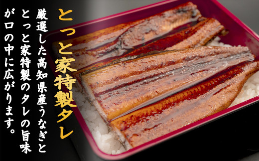 高知県産うなぎの蒲焼き