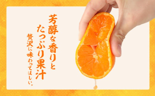 旬のミカンをお届け！JAむなかた柑橘ブランド「姫の神」5kg 甘くておいしいみかん