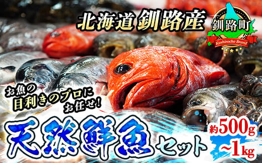 お魚の目利きのプロにお任せ！北海道産（国産） 天然 鮮魚 約500g～1kg（釧路の鮮魚セット）鮮魚 刺身 冷凍 セット 産地直送 ワンストップ オンライン申請 オンライン 申請