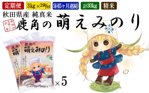 令和5年産 特別栽培米 鹿角の萌えみのり 精米 20kg（10kg×2袋）【安保