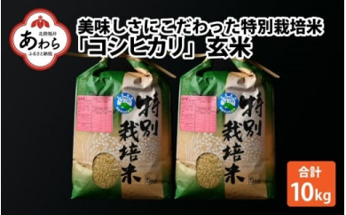 【先行予約】【令和5年産新米】コシヒカリ 玄米 5kg×2袋（計10kg） 特別栽培米 農薬不使用 化学肥料不使用 ／ 高品質 鮮度抜群 福井県産 ブランド米