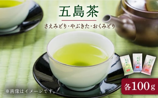 [ブレンドなし! 3種のお茶が楽しめる♪] 五島茶 (さえみどり・やぶきた・おくみどり) 五島市/五島七岳ファーム 