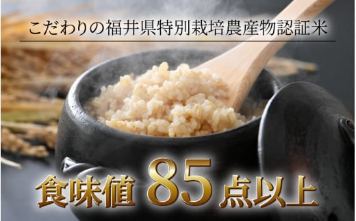 令和産新米コシヒカリ 玄米  特別栽培米 農薬不使用 化学肥料