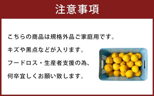 【2023年3月下旬発送】【規格外品】河内晩柑 ご家庭用  15kg サイズ不選別 柑橘 晩柑