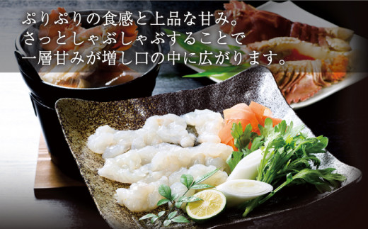 【あま～い！おいしい！凝縮された旨み】ウチワエビ しゃぶしゃぶA「刺身・半身セット」計7.2kg（約600g×12回）