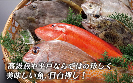 平戸市場直送 旬の獲れたて鮮魚 冷凍 4 5種類 平戸市 ひらど新鮮市場 Kab007 長崎県平戸市 ふるさとチョイス ふるさと納税サイト