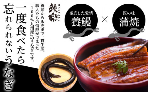 2週間以内に鰻楽 宮崎 からお届け 国産うなぎ蒲焼4尾 計760g 鰻蒲焼 ウナギ蒲焼用たれ さんしょうのセット うなぎ1尾180g以上の鰻 4尾からなるウナギの詰め合わせ M040 011 宮崎県宮崎市 ふるさと納税 ふるさとチョイス