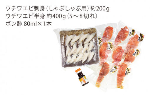 【あま～い！おいしい！凝縮された旨み】ウチワエビ しゃぶしゃぶA「刺身・半身セット」計7.2kg（約600g×12回）