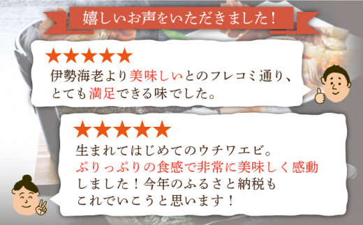 【あま～い！おいしい！凝縮された旨み】ウチワエビ しゃぶしゃぶA「刺身・半身セット」計7.2kg（約600g×12回）