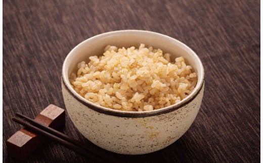令和6年産 特Aランク米 食べ比べセット 玄米 10kg（ゆめぴりか・ななつぼし各5kg）雪冷気 籾貯蔵 雪中米 北海道