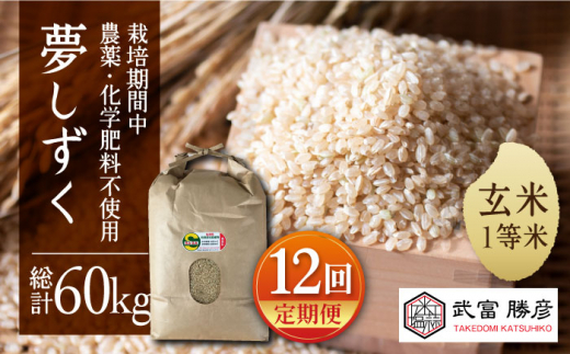 【全12回定期便】特別栽培米 江北町産 夢しずく 1等米 玄米 5kg【葦農】[HAJ018] 295615 - 佐賀県江北町