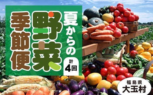 【定期便】季節の野菜 2022年夏からの定期便【01052】