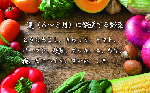 【定期便】季節の野菜 2022年夏からの定期便【01052】