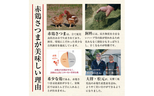 I587 博多の味 昇天水炊き しろ 2人前 鹿児島県産ブランド鶏 赤鶏さつま 使用 松元昇天 鹿児島県出水市 ふるさと納税 ふるさとチョイス