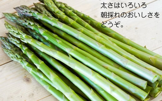 北海道産 アスパラと季節の有機野菜 セット