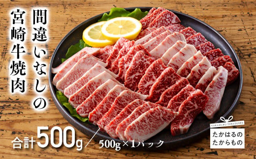 宮崎牛焼肉用（500g）