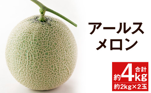 6月下旬 発送 アールスメロン 2玉 約2kg 2玉 マスクメロン 果物 養生市場 熊本県菊池市 ふるさとチョイス ふるさと納税サイト