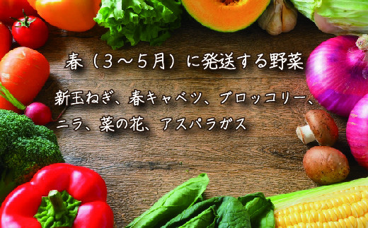 【定期便】季節の野菜 2022年冬からの定期便【01054】