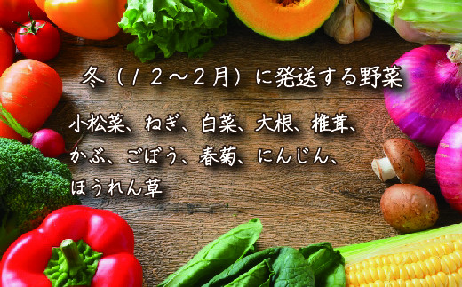 【定期便】季節の野菜 2022年夏からの定期便【01052】