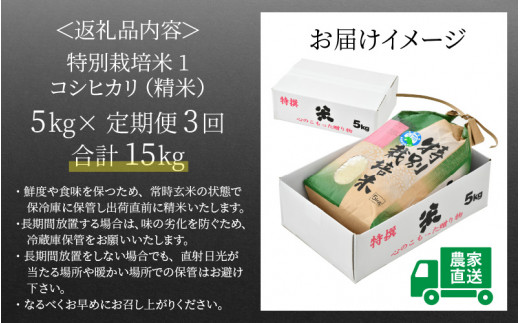 先行予約】【令和5年産新米】《定期便3回》コシヒカリ 精米 5kg （計