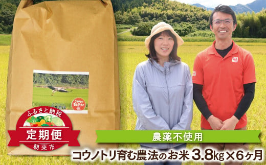 EB-5 【お米 定期便】高本さんちのコウノトリ育む農法(農薬不使用)のお米 3.8kg×１袋×６か月