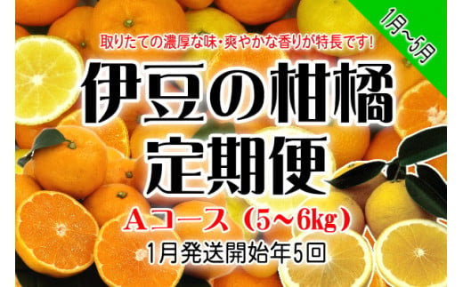 東伊豆産　伊豆の柑橘　定期便　Aコース　D010／収穫体験農園ふたつぼり　はるか　伊予柑　オレンジ　甘夏　みかん　静岡県　東伊豆町 215712 - 静岡県東伊豆町