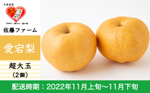 H212 Bk 佐藤ファーム 愛宕梨 超大玉 2玉入 福岡県うきは市 ふるさとチョイス ふるさと納税サイト