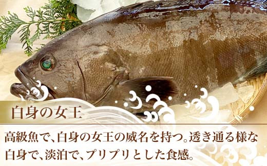 白身の高級魚マハタ鍋 10人前セット マハタ300g 5 ポン酢1 000ml もみじおろし50g Irodoriからつ 四季の返礼品 料亭の味をそのままご家庭で お鍋の〆はそのままの御出汁で雑炊がおすすめ 22年 令和4年 佐賀県唐津市 ふるさとチョイス ふるさと納税サイト