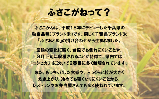 アイテムID:449545の画像3枚目