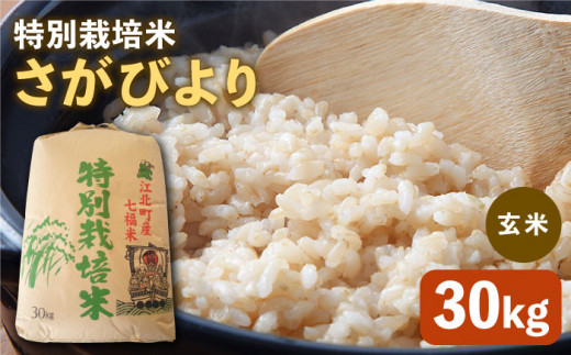 令和5年産 特別栽培米 新米 さがびより 玄米 30kg【だいちの家】[HAG007] 265749 - 佐賀県江北町