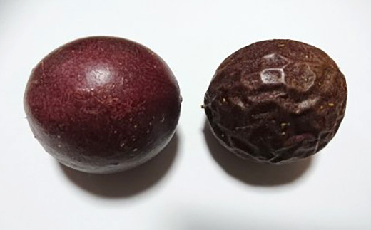 福岡県産 パッションフルーツ（大玉） 11～12個