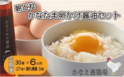 定期便 全6回 卵 鶏卵 たまご 定期便 新鮮 30個 たまごかけ醤油セット 朝どれたまご 592901 - 香川県さぬき市