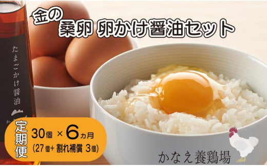 定期便 全6回 卵 鶏卵 たまご 新鮮 30個 たまごかけ醤油セット 金の桑卵 592899 - 香川県さぬき市