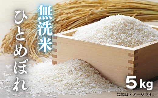 無洗米5kg（ひとめぼれ）