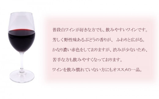 赤ワイン 飲み比べ ２年代分 ソヴァジョーヌサヴルーズ ワイン 赤 ２本セット 香川県さぬき市 ふるさと納税 ふるさとチョイス