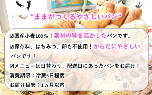 卵・ハチミツ・添加剤不使用 国産小麦の体にやさしいぱん 詰め合わせ