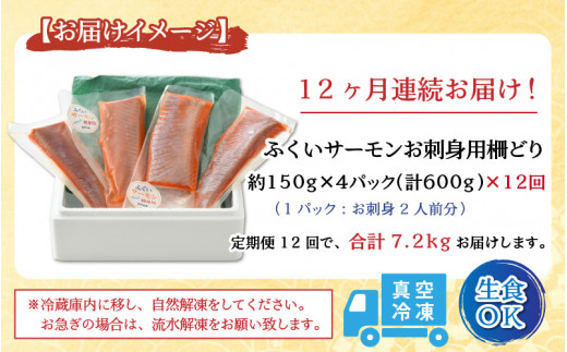 先行予約】《定期便12回》ふくいサーモン 柵どり 150g×4パック 計600g