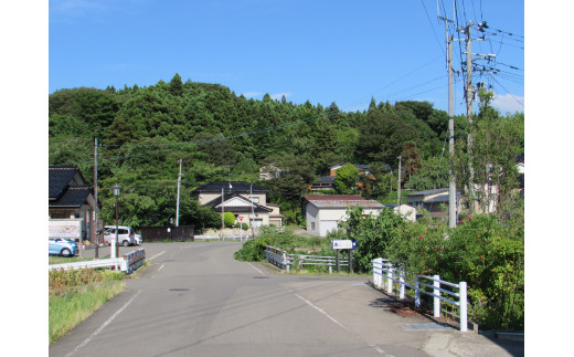 いちじく産地、にかほ市の大竹集落。